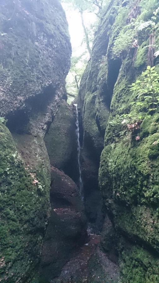 Schoene Aussicht, Wallbox, 70Qm, Kontaktloser Check-In Eisenach Luaran gambar